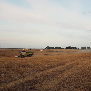 Claas Lexion 770