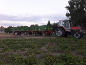 Massey Ferguson 3060 + przyczepy autosan