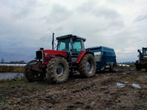 Massey Ferguson 3115E