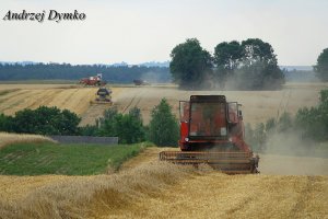 Bizon Rekord Z058 & NH CX6090 & Bizon Super Z056