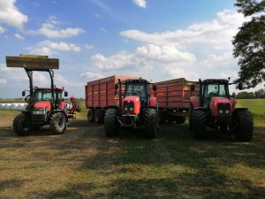 MF 6499 & Schuitemaker x2 i CASE Farmall 95A