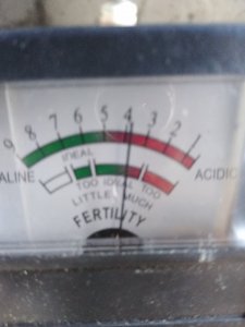 Badanie pH gleby u znajomego