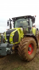 Claas Arion 630