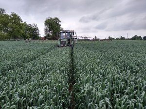 Fendt 309LS