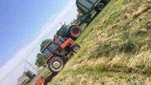 Massey ferguson 255