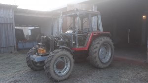 Massey Ferguson 294S