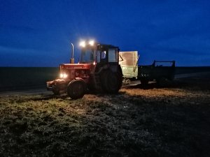 Mtz  80 & rozrzutnik 3.5t