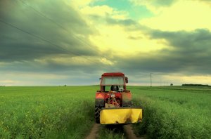 Mtz 82 & Kosiarka rotacyjna