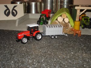 Massey Ferguson + Przyczepa na bydło + Krowa