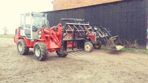 Weidemann 3006 i MF 350