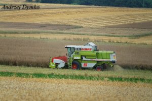 Claas Dominator 88