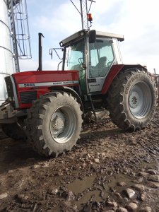 Massey Ferguson  3655