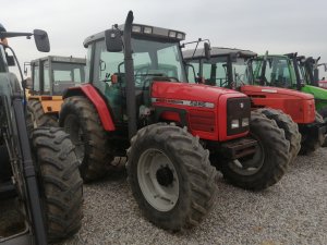 Massey ferguson 6255