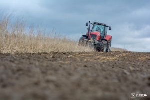 Massey Ferguson 7499