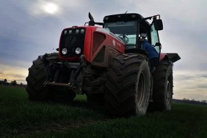 Massey ferguson 8480