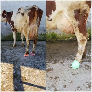 Opatrunki i podklejenie klocka