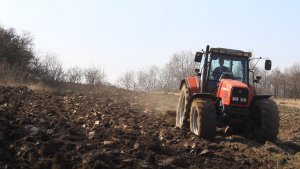 Massey Ferguson 6290 + Pług Eberhardt D 140 U Non-Stop