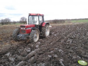 Case 1056XL + Rabewerk