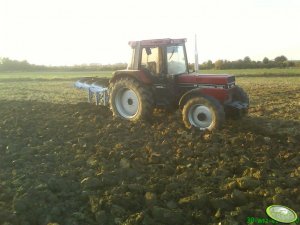 Case 1056XL + Rabewerk