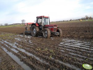 Case 1056XL + Rabewerk