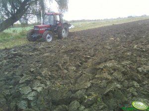 Case 1056XL + Rabewerk