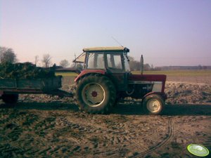 Case International 744