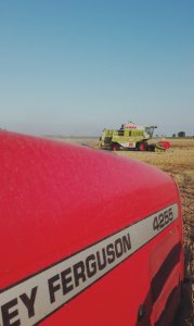 Claas Dominator 88 sl Maxi & Massey Ferguson 4255