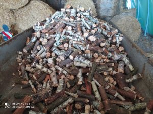 Drewno po rębaku