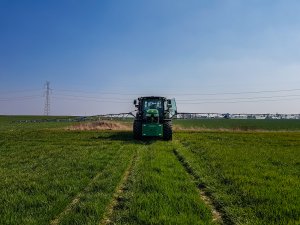 Jęczmień ozimy - 28.03.2020