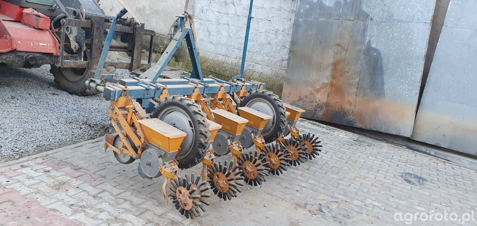 Kleine unicorn 3 - fotka siewnika id:773583 - Galeria rolnicza agrofoto