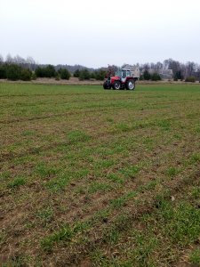 Massey Ferguson +Amazone