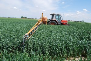 Massey Ferguson 3050 & CEBECO 21m rozlewanie III dawki RSM wężami