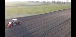 Massey Ferguson 3060 & POM Brodnica