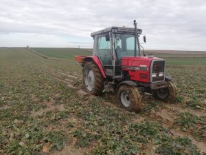 Massey Ferguson 3060-rozsiewanie saletrosanu