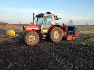 Massey Ferguson 3065 + Niemeyer + Nordsten. 