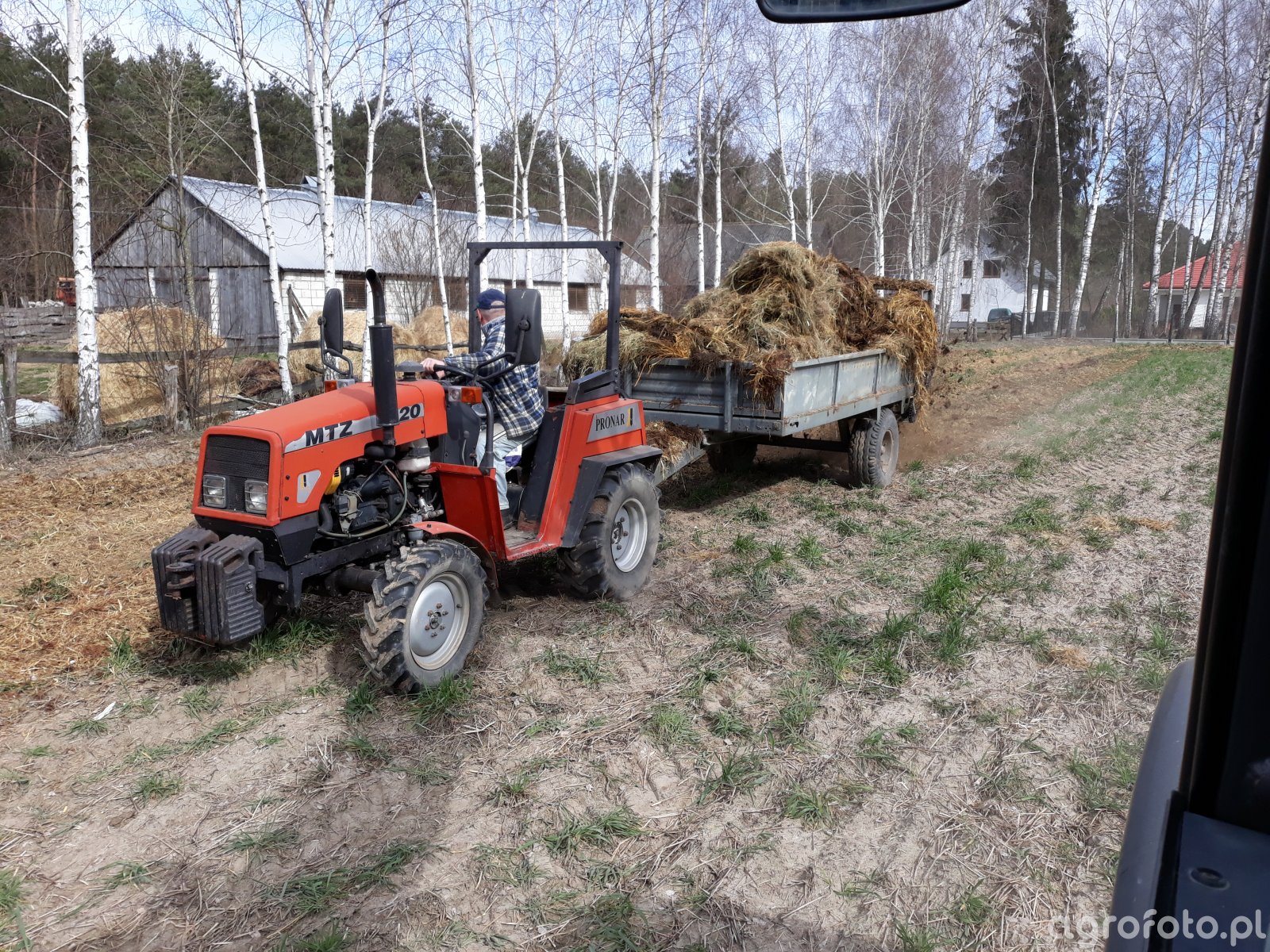 Foto traktor MTZ 320 #774129 - Galeria rolnicza agrofoto