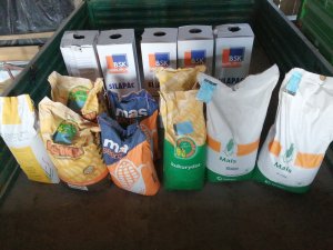 Nasiona kukurydzy i folia