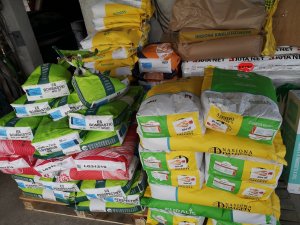 Nasiona kukurydzy na 2020 r. 