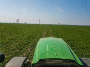 Pszenica ozima 28.03.2020