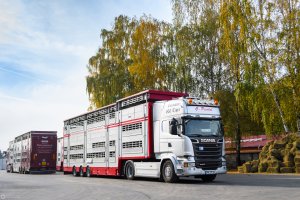 Scania R580 Streamline Topline