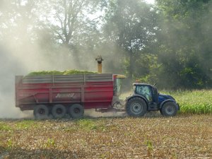 Valtra T174  active & Jeantil
