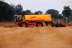 Vredo