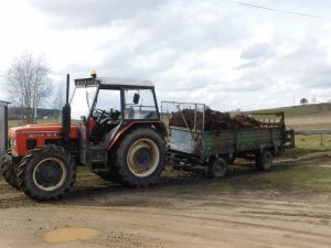 Zetor 7045 i rozrzutnik obornika Czarna Białostocka