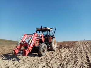 Zetor 7245 & Brony