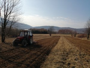 Zetor 7245 + Kultywator 2.4m