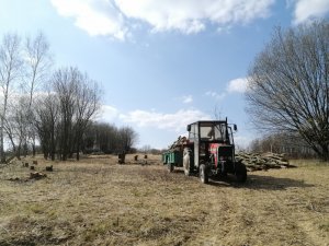 Massey ferguson 255 & przyczepa