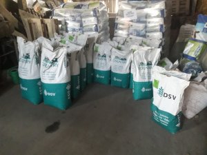 Mieszkanki traw, koniczyna, lucerna  dsv