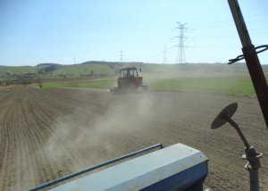 MTZ 82 & wały posiewne