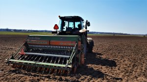 Massey Ferguson 6260 + Amazone RP AD 302