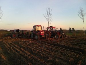 Belarus 952 + Ursus 5314 + Mtz ETC 165